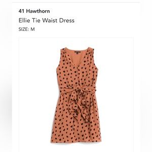 41 Hawthorn Ellie Tie Waist Dress